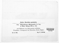Image Associated With the Occurence